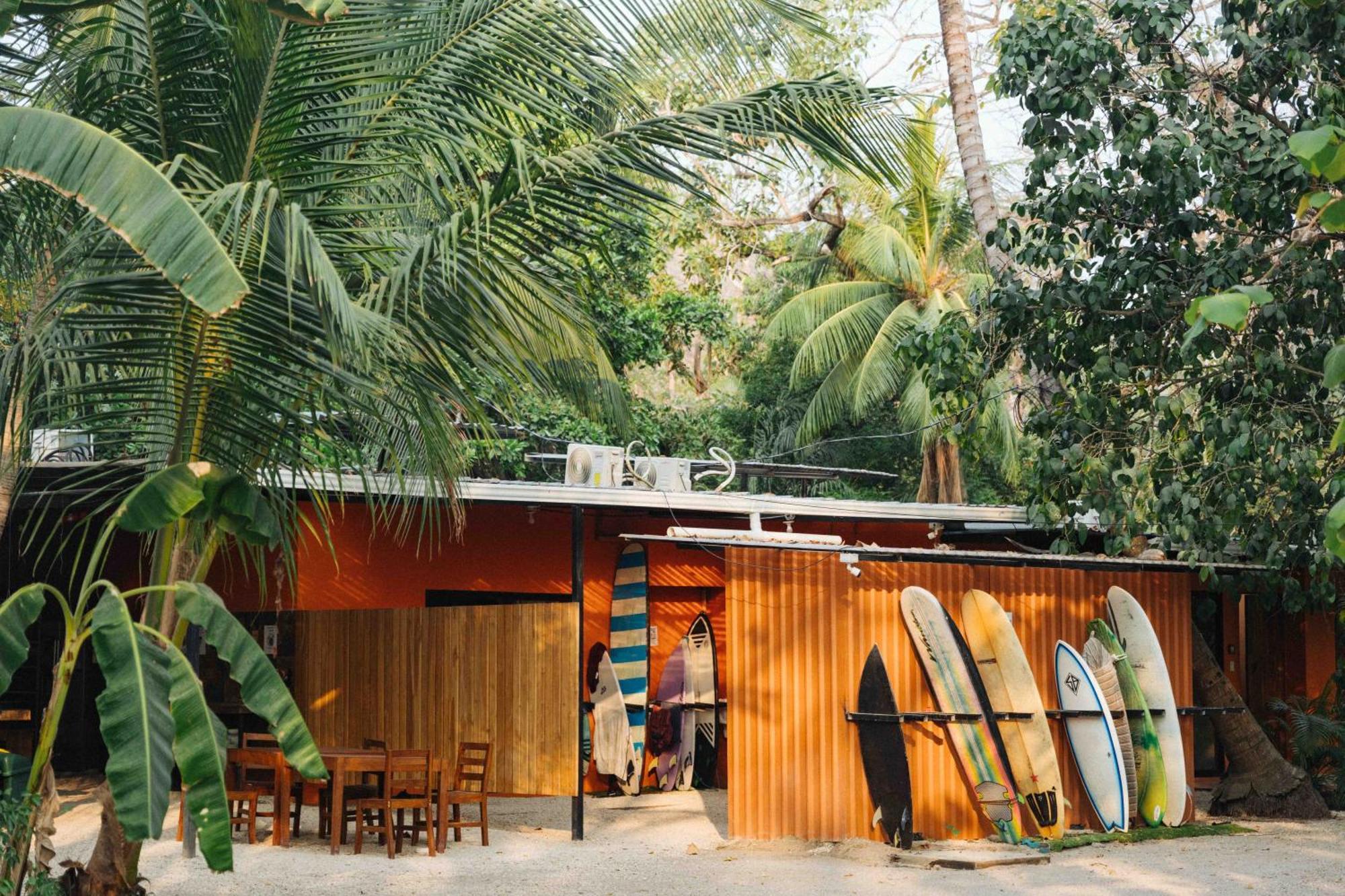 Zeneidas Surf Garden Playa Santa Teresa  Exterior foto