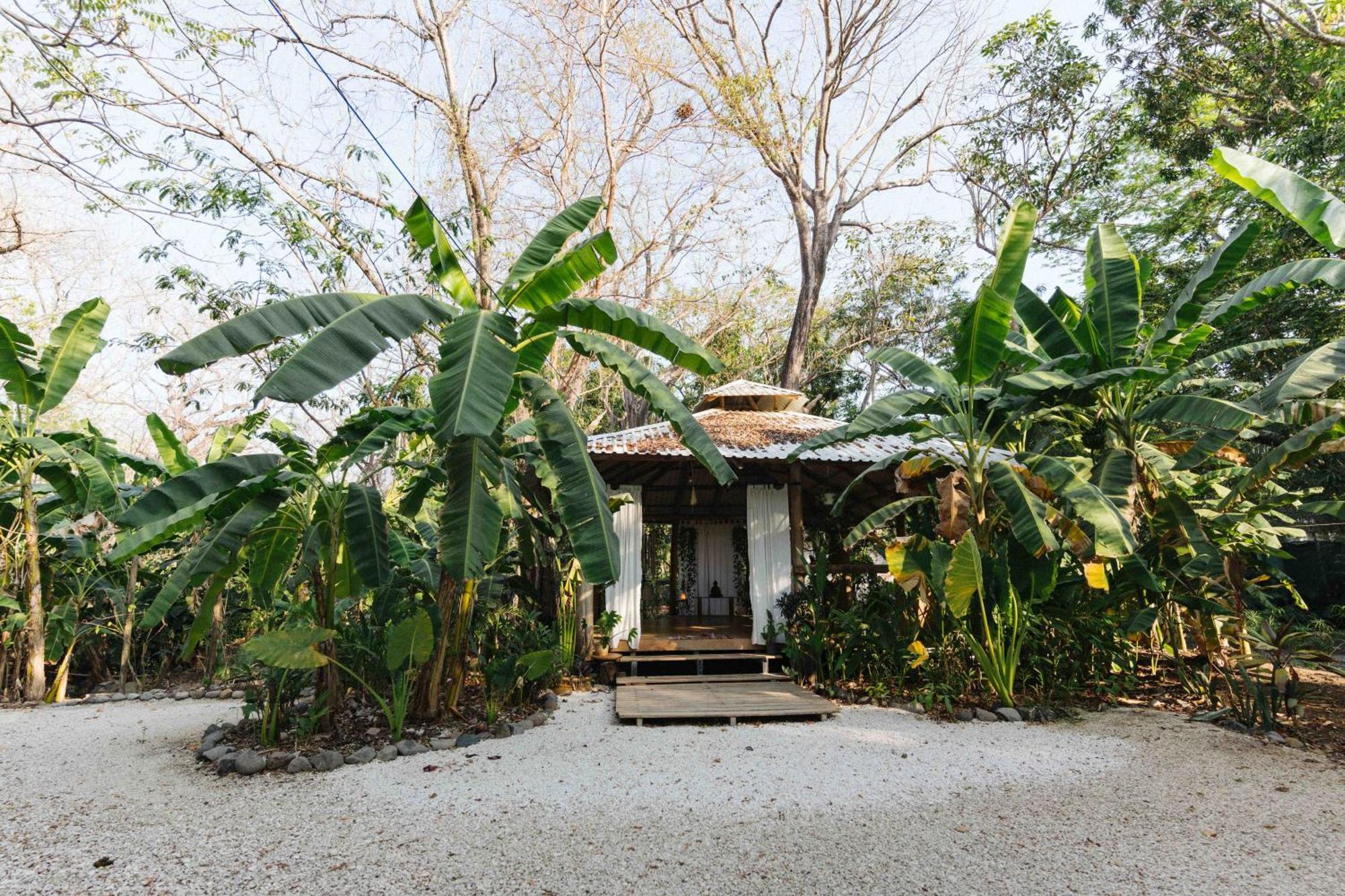 Zeneidas Surf Garden Playa Santa Teresa  Exterior foto