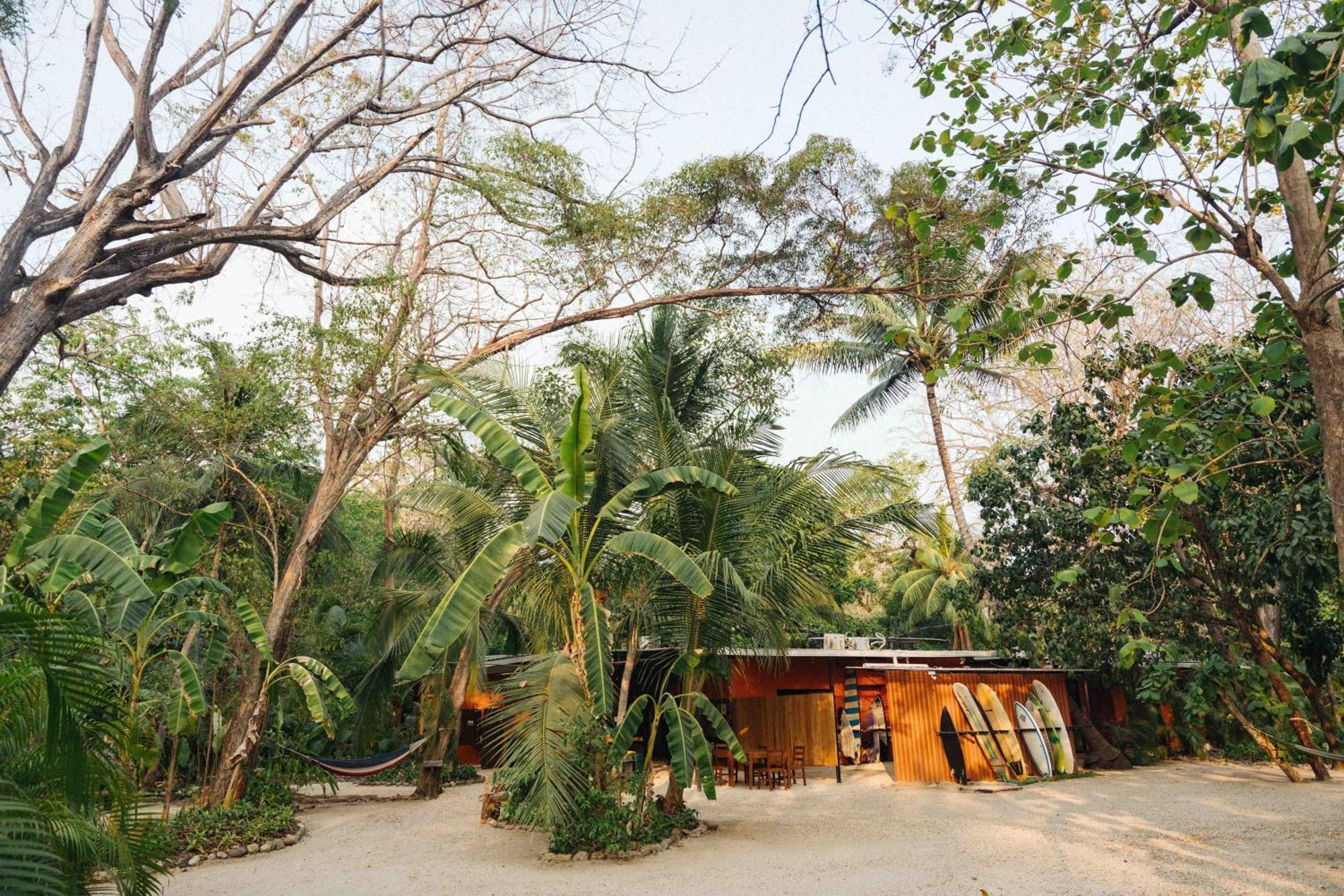 Zeneidas Surf Garden Playa Santa Teresa  Exterior foto